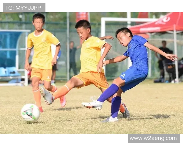 中国足球的发展困境与未来:是否真的不需要球星的存在 中国足球的发展困境与未来:是否真的不需要球星的存在
