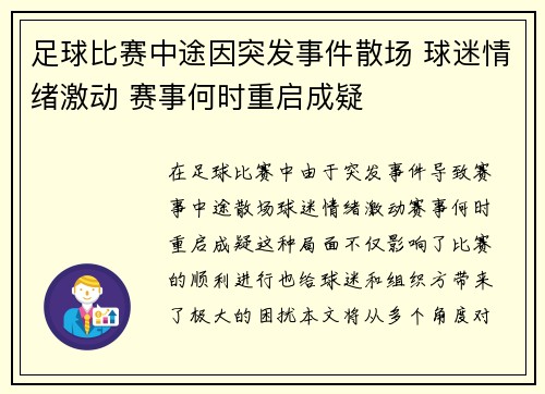 足球比赛中途因突发事件散场 球迷情绪激动 赛事何时重启成疑