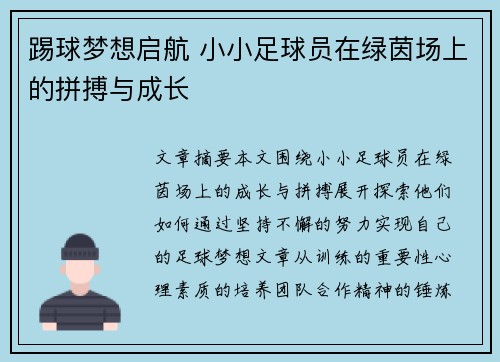 踢球梦想启航 小小足球员在绿茵场上的拼搏与成长