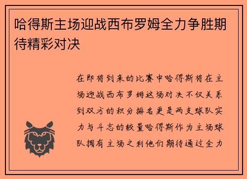哈得斯主场迎战西布罗姆全力争胜期待精彩对决